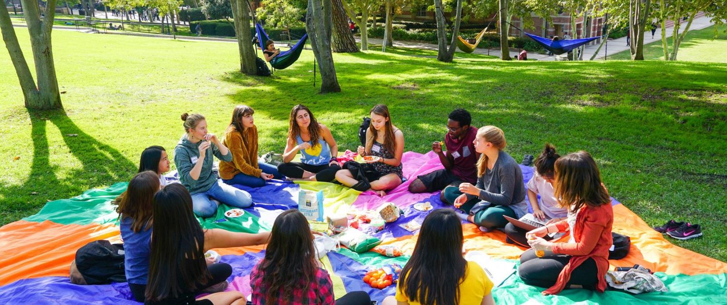 undergraduate staff at a picnic